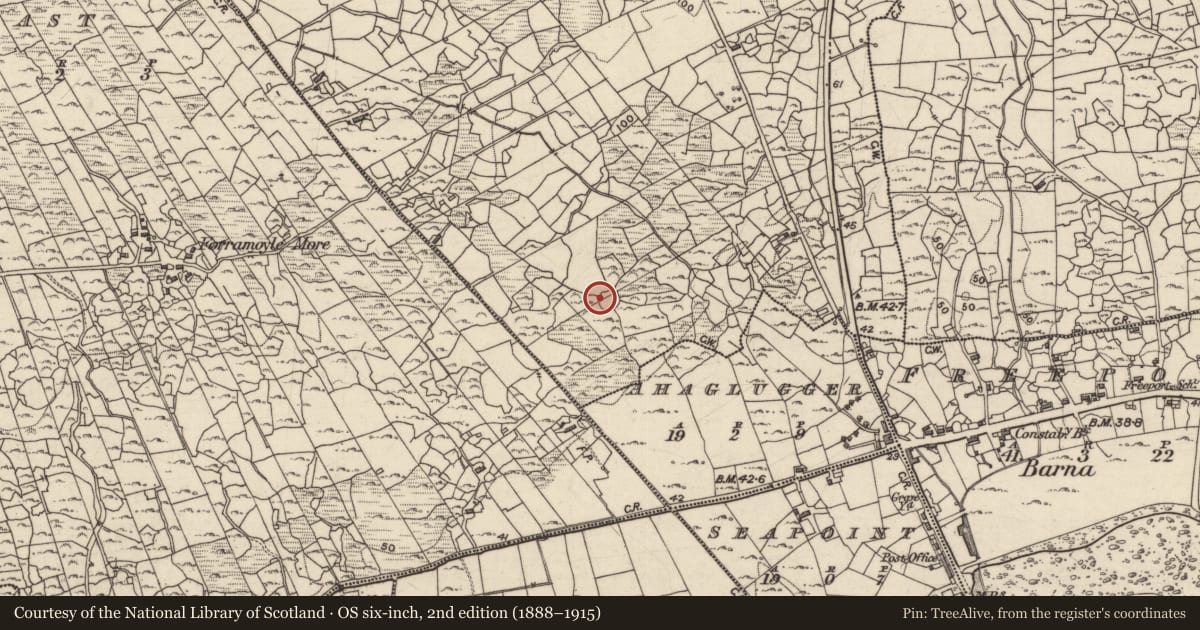 Ordnance Survey six-inch map, 2nd edition (1888–1915) covering the location of Ringfort - cashel, Troscaigh Thiar, County Galway, with a pin at the register's coordinates