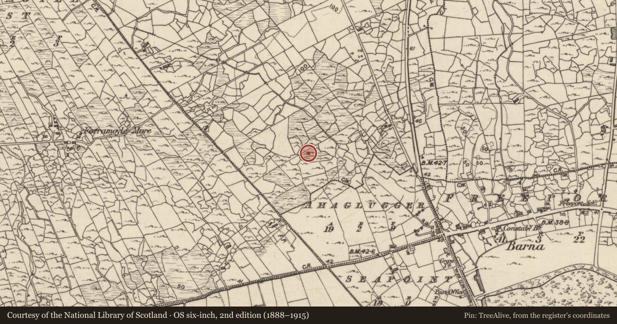 Ordnance Survey six-inch map, 2nd edition (1888–1915) covering the location of Field system, Troscaigh Thiar, County Galway, with a pin at the register's coordinates