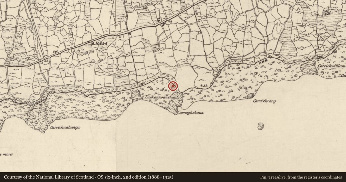 Ordnance Survey six-inch map, 2nd edition (1888–1915) covering the location of Fulacht fia, An Lipe, County Galway, with a pin at the register's coordinates