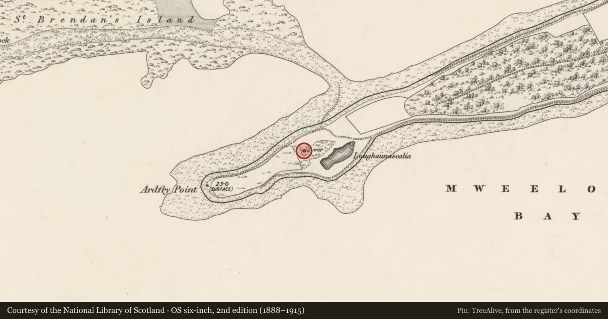 Ordnance Survey six-inch map, 2nd edition (1888–1915) covering the location of Designed landscape - folly, Ardfry, County Galway, with a pin at the register's coordinates