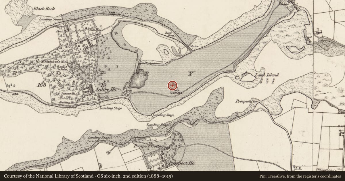 Ordnance Survey six-inch map, 2nd edition (1888–1915) covering the location of Ringfort - rath, Ardfry, County Galway, with a pin at the register's coordinates