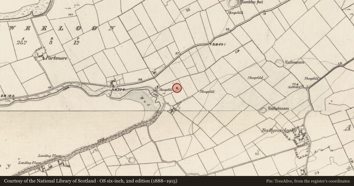 Ordnance Survey six-inch map, 2nd edition (1888–1915) covering the location of Megalithic tomb - portal tomb, Ballynacloghy, County Galway, with a pin at the register's coordinates