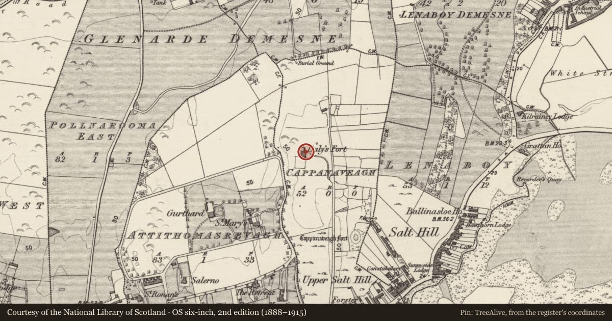 Ordnance Survey six-inch map, 2nd edition (1888–1915) covering the location of House - 18th/19th century, Cappanaveagh, County Galway, with a pin at the register's coordinates
