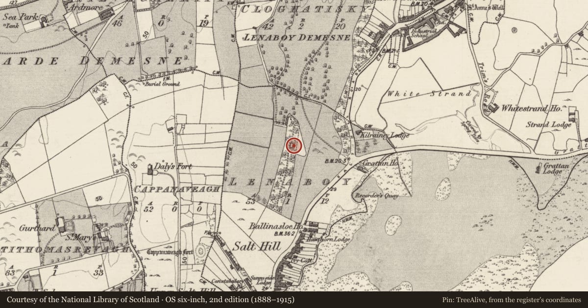 Ordnance Survey six-inch map, 2nd edition (1888–1915) covering the location of Burial ground, Lenaboy, County Galway, with a pin at the register's coordinates