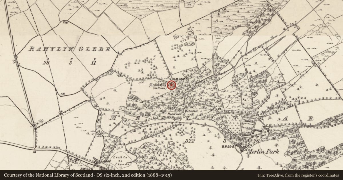 Ordnance Survey six-inch map, 2nd edition (1888–1915) covering the location of Sheela-na-gig, Merlinpark, County Galway, with a pin at the register's coordinates