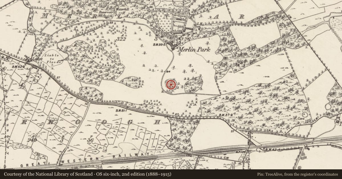 Ordnance Survey six-inch map, 2nd edition (1888–1915) covering the location of Designed landscape feature, Merlinpark, County Galway, with a pin at the register's coordinates