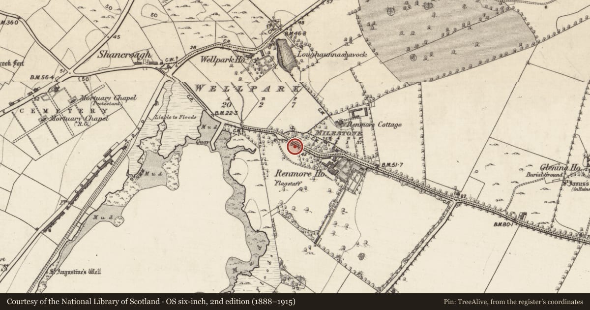 Ordnance Survey six-inch map, 2nd edition (1888–1915) covering the location of Boundary stone, Milestone, Rinmore, County Galway, with a pin at the register's coordinates