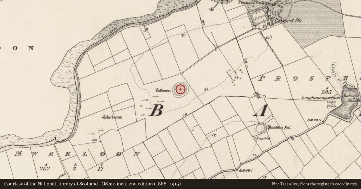 Ordnance Survey six-inch map, 2nd edition (1888–1915) covering the location of Ringfort - rath, Mweeloon, Prospecthill, County Galway, with a pin at the register's coordinates