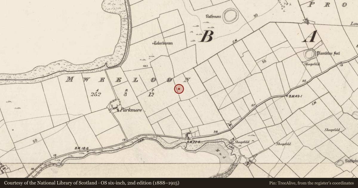 Ordnance Survey six-inch map, 2nd edition (1888–1915) covering the location of Well, Ballynacourty, County Galway, with a pin at the register's coordinates