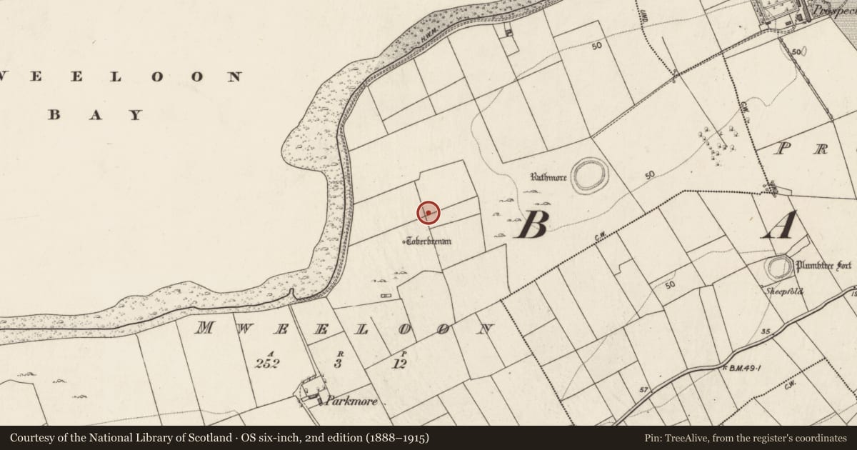 Ordnance Survey six-inch map, 2nd edition (1888–1915) covering the location of Cairn - clearance cairn, Ballynacourty, County Galway, with a pin at the register's coordinates