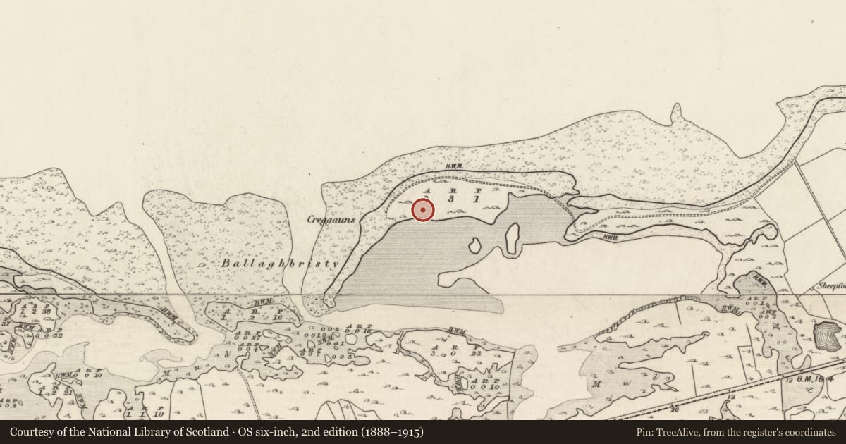 Ordnance Survey six-inch map, 2nd edition (1888–1915) covering the location of Midden, Mweeloon, County Galway, with a pin at the register's coordinates