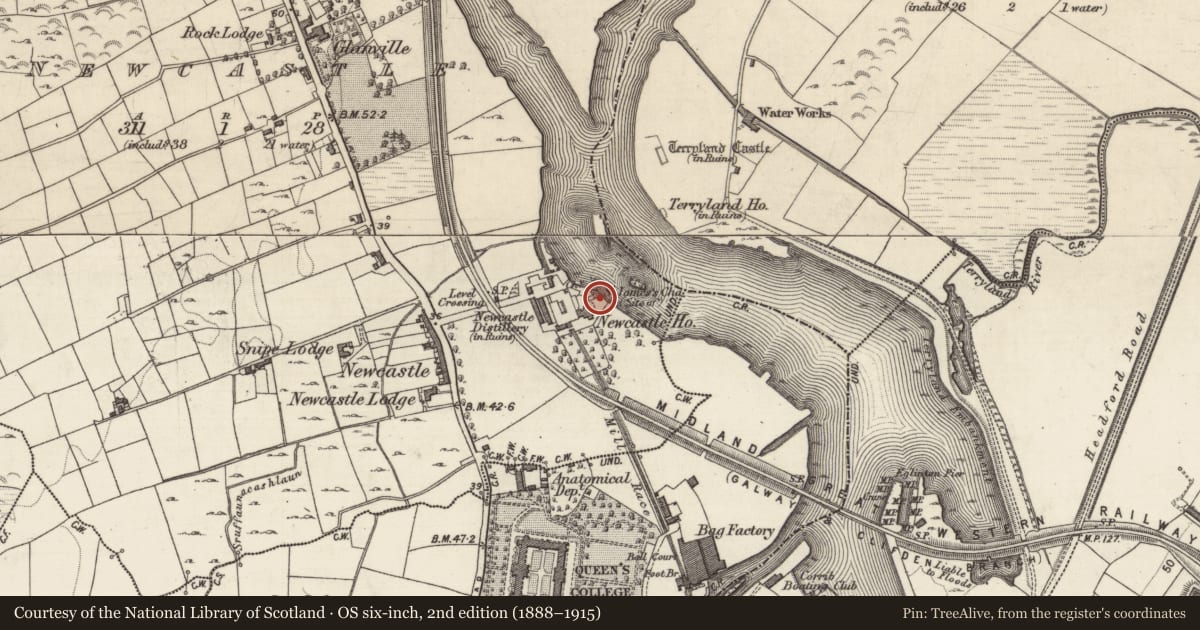 Ordnance Survey six-inch map, 2nd edition (1888–1915) covering the location of Church, Newcastle (Rahoon Par.), County Galway, with a pin at the register's coordinates