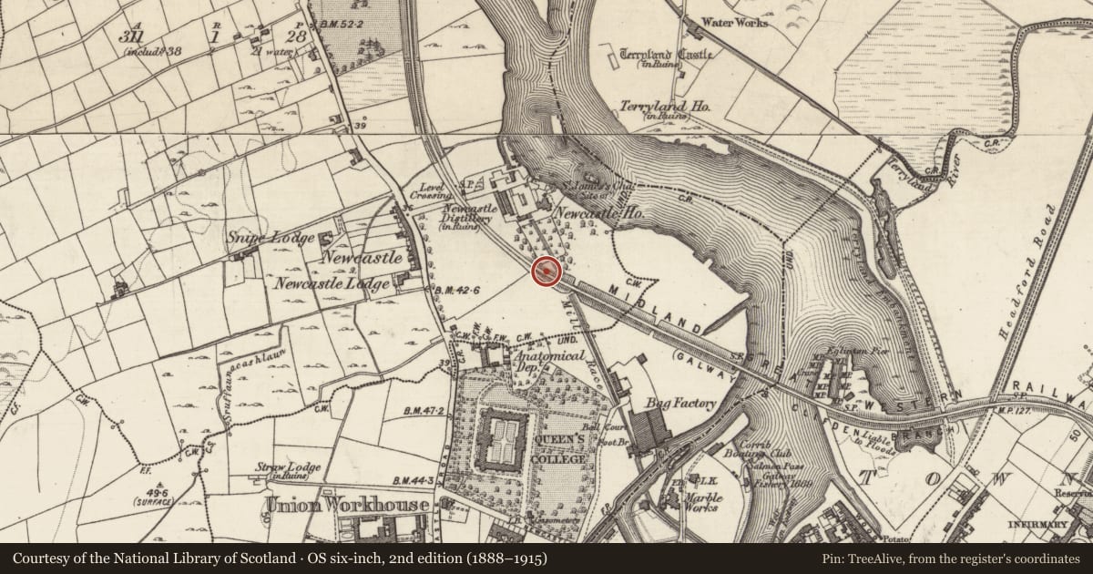 Ordnance Survey six-inch map, 2nd edition (1888–1915) covering the location of Dovecote, Newcastle (Rahoon Par.), County Galway, with a pin at the register's coordinates