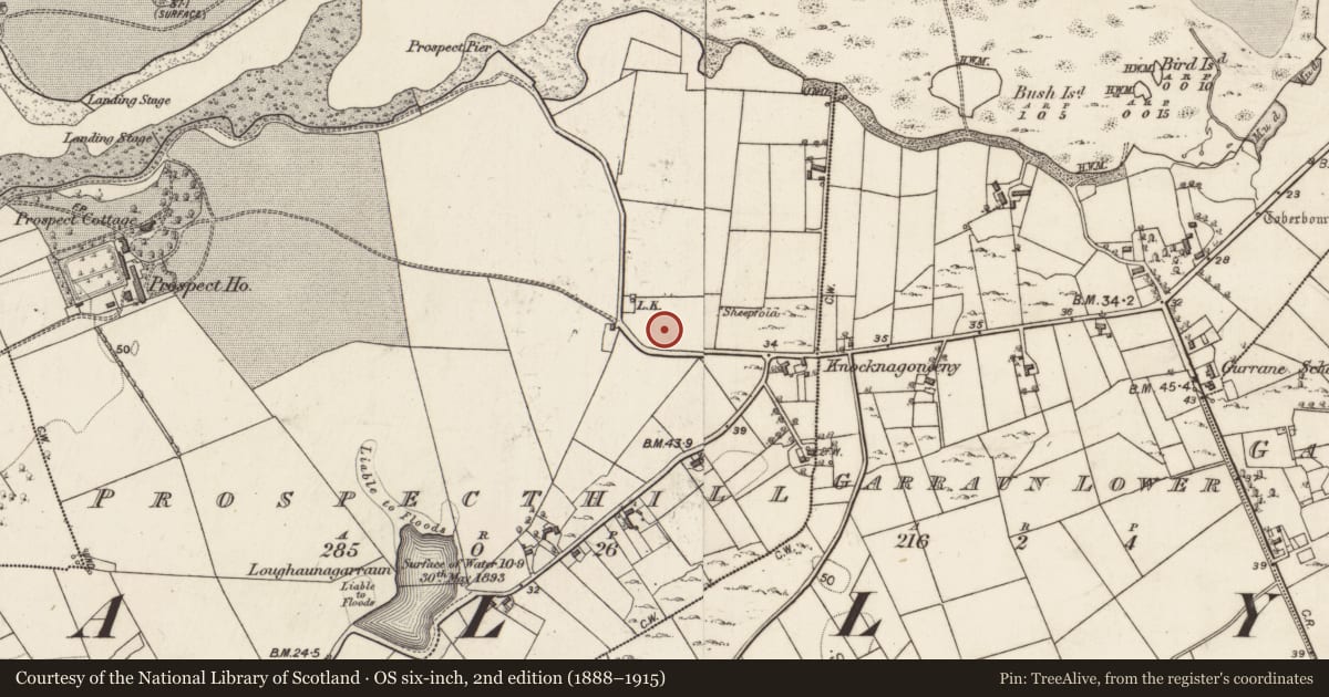 Ordnance Survey six-inch map, 2nd edition (1888–1915) covering the location of House - indeterminate date, Prospecthill, County Galway, with a pin at the register's coordinates