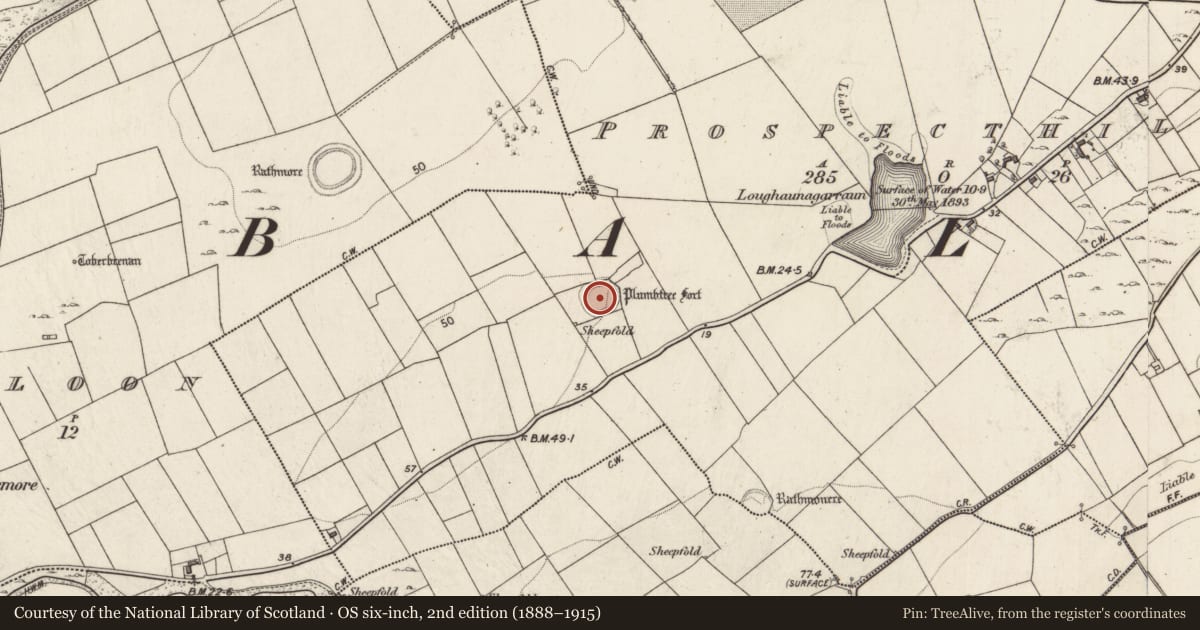 Ordnance Survey six-inch map, 2nd edition (1888–1915) covering the location of Hut site, Prospecthill, County Galway, with a pin at the register's coordinates