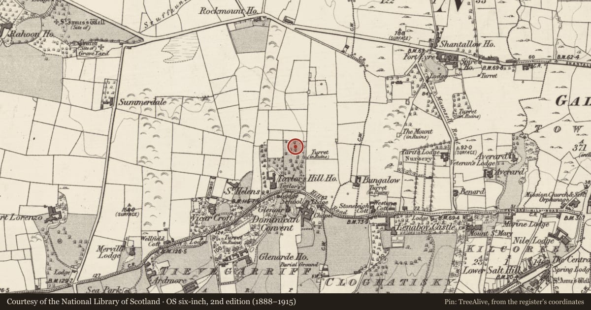 Ordnance Survey six-inch map, 2nd edition (1888–1915) covering the location of Megalithic structure, Rahoon, County Galway, with a pin at the register's coordinates