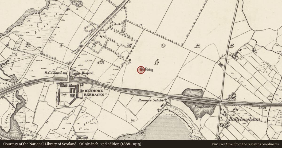 Ordnance Survey six-inch map, 2nd edition (1888–1915) covering the location of Designed landscape - tree-ring, Rinmore, County Galway, with a pin at the register's coordinates