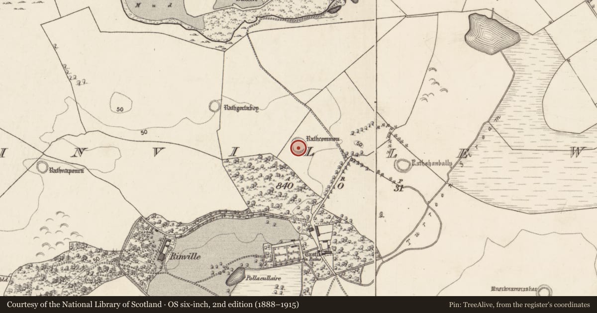 Ordnance Survey six-inch map, 2nd edition (1888–1915) covering the location of Ringfort - rath, Rinville West, County Galway, with a pin at the register's coordinates