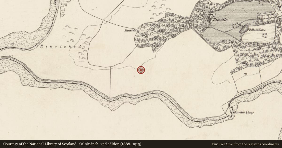 Ordnance Survey six-inch map, 2nd edition (1888–1915) covering the location of Ringfort - rath, Rinville West, County Galway, with a pin at the register's coordinates