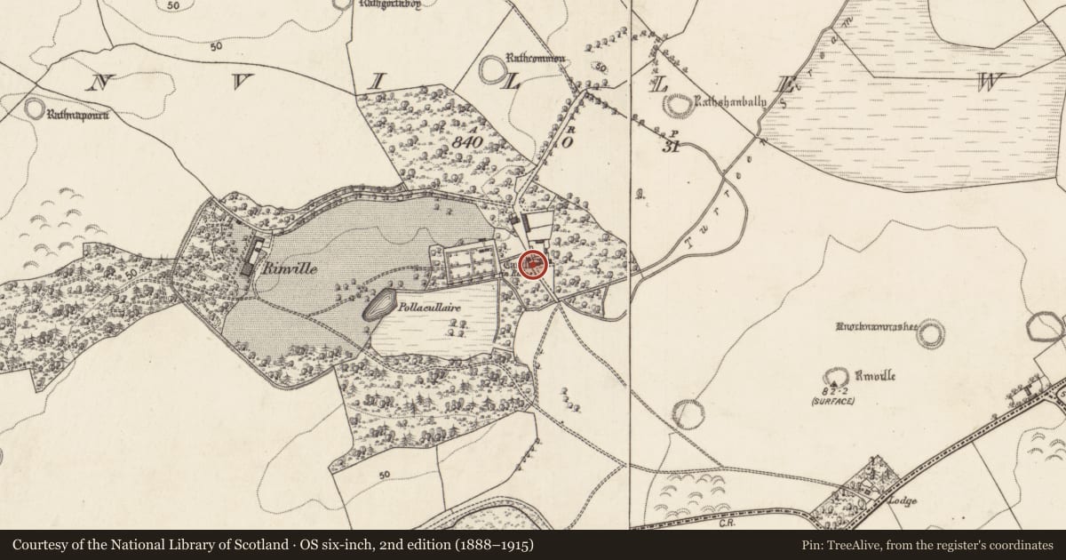 Ordnance Survey six-inch map, 2nd edition (1888–1915) covering the location of Castle - tower house, Rinville West, County Galway, with a pin at the register's coordinates