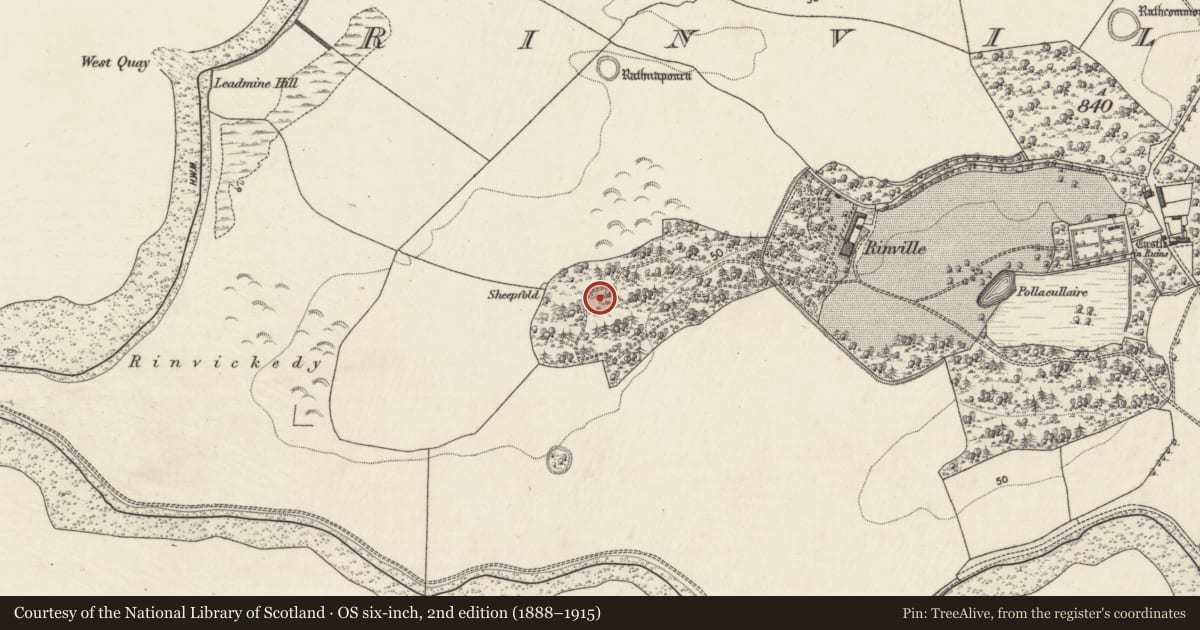 Ordnance Survey six-inch map, 2nd edition (1888–1915) covering the location of Ringfort - rath, Rinville West, County Galway, with a pin at the register's coordinates