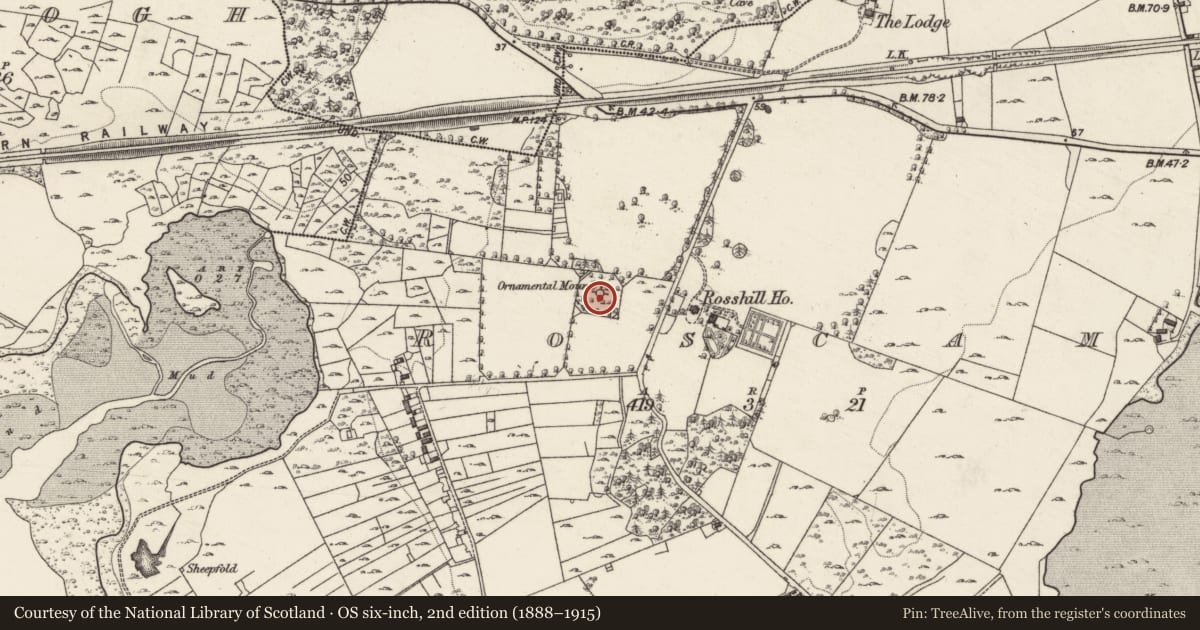 Ordnance Survey six-inch map, 2nd edition (1888–1915) covering the location of Designed landscape - folly, Roscam, County Galway, with a pin at the register's coordinates