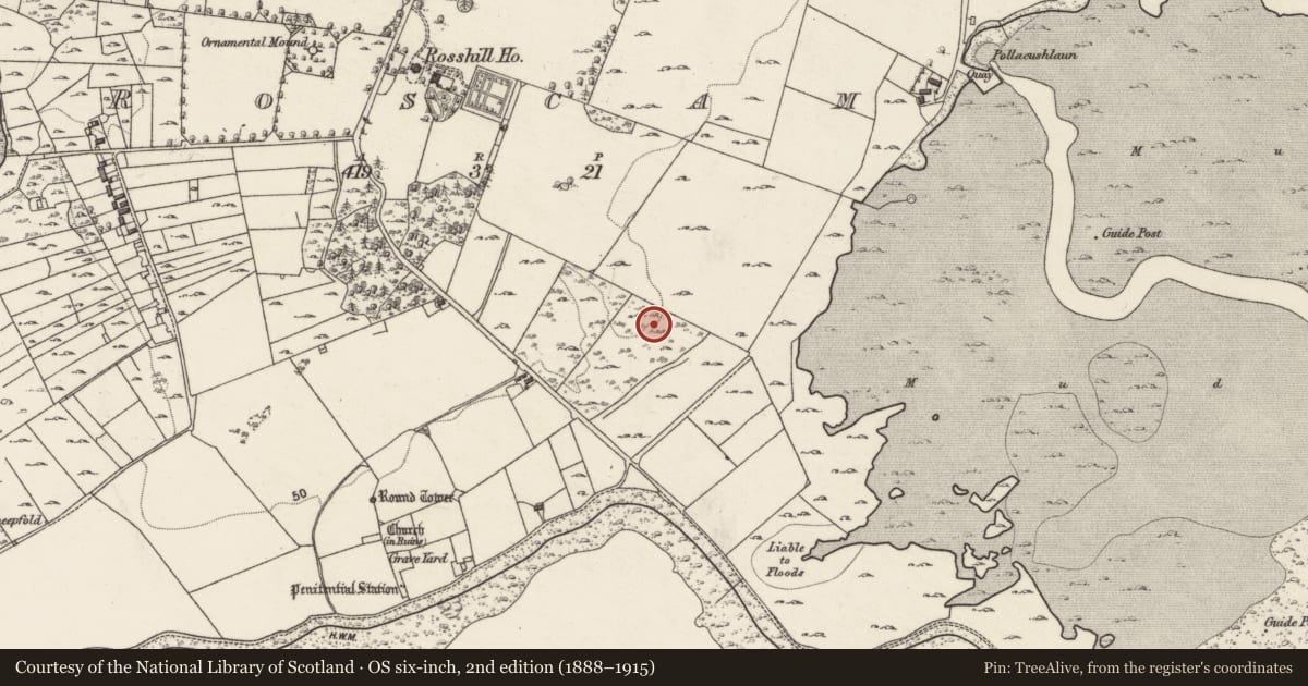 Ordnance Survey six-inch map, 2nd edition (1888–1915) covering the location of Cist, Roscam, County Galway, with a pin at the register's coordinates