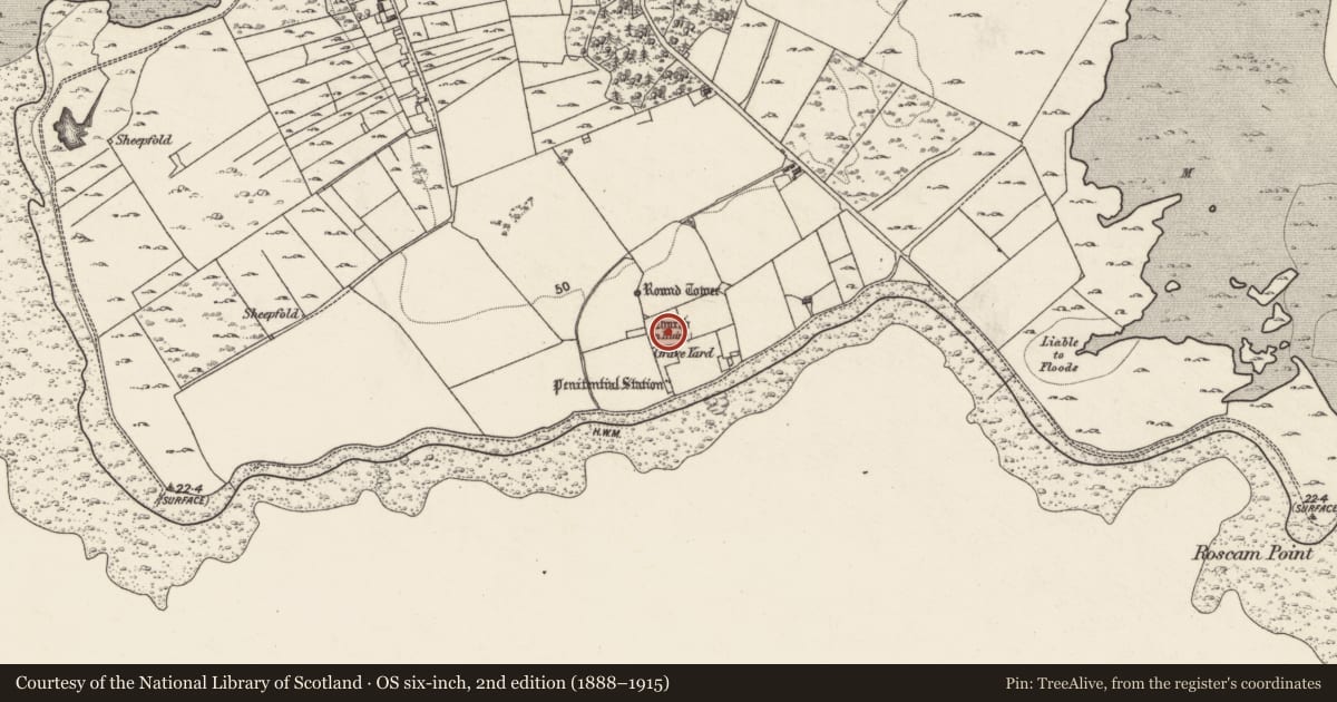 Ordnance Survey six-inch map, 2nd edition (1888–1915) covering the location of Ecclesiastical enclosure, Roscam, County Galway, with a pin at the register's coordinates