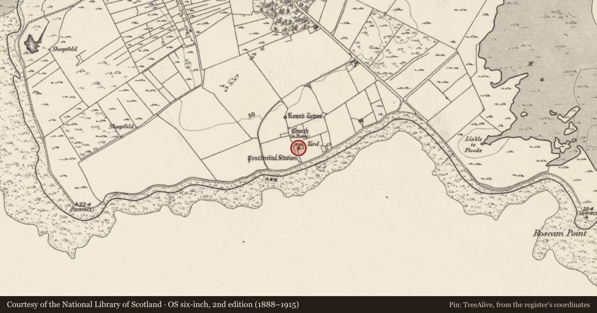 Ordnance Survey six-inch map, 2nd edition (1888–1915) covering the location of Graveyard, Roscam, County Galway, with a pin at the register's coordinates