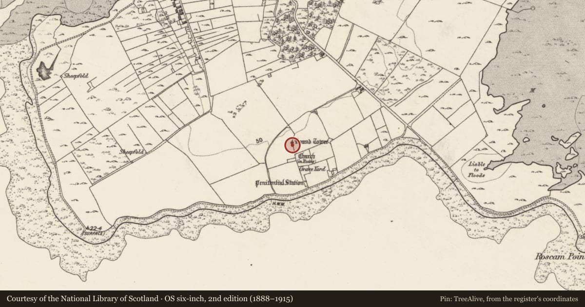 Ordnance Survey six-inch map, 2nd edition (1888–1915) covering the location of Round tower, Roscam, County Galway, with a pin at the register's coordinates