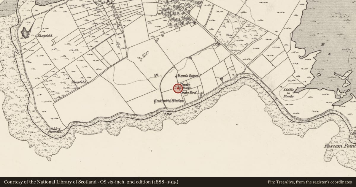 Ordnance Survey six-inch map, 2nd edition (1888–1915) covering the location of Graveslab, Roscam, County Galway, with a pin at the register's coordinates