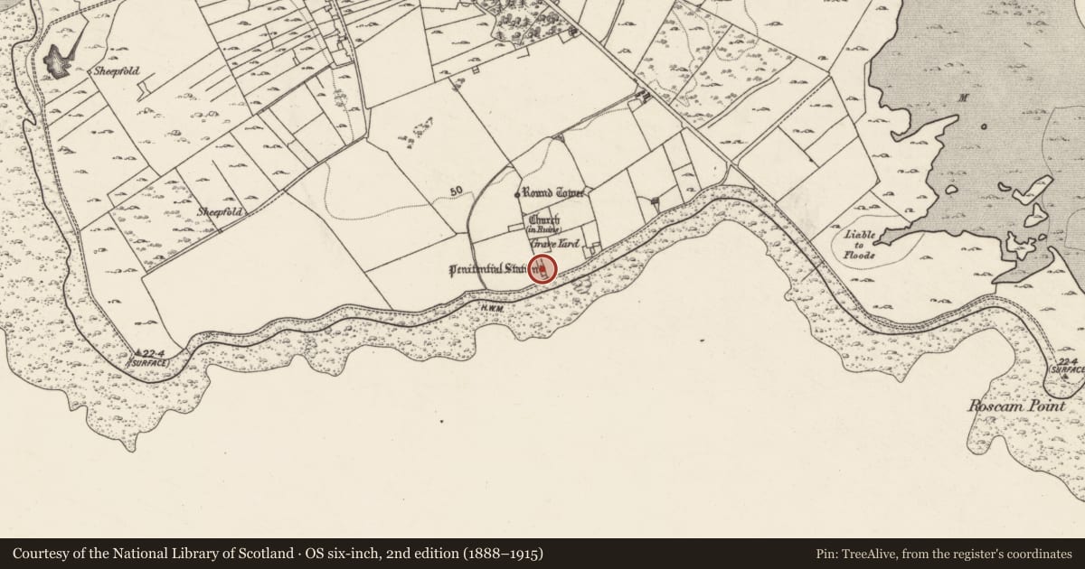 Ordnance Survey six-inch map, 2nd edition (1888–1915) covering the location of Bullaun stone, Roscam, County Galway, with a pin at the register's coordinates