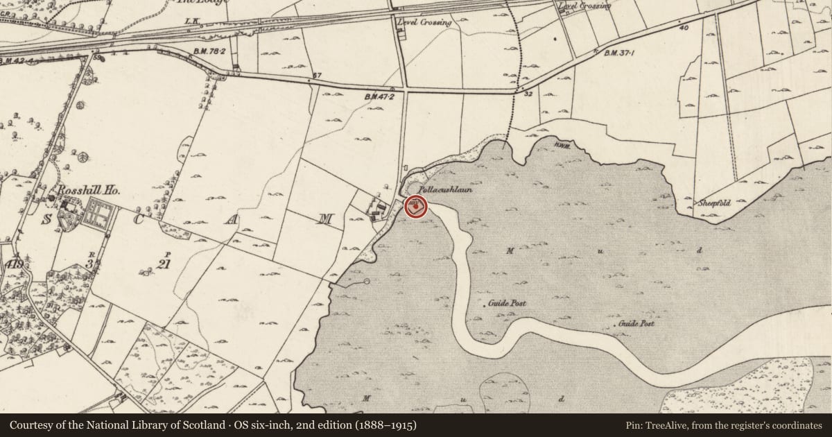 Ordnance Survey six-inch map, 2nd edition (1888–1915) covering the location of Castle - unclassified, Roscam, County Galway, with a pin at the register's coordinates