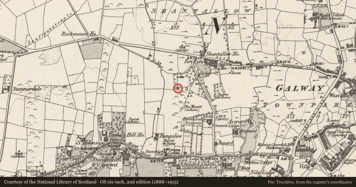 Ordnance Survey six-inch map, 2nd edition (1888–1915) covering the location of Quarry, Shantallow, County Galway, with a pin at the register's coordinates