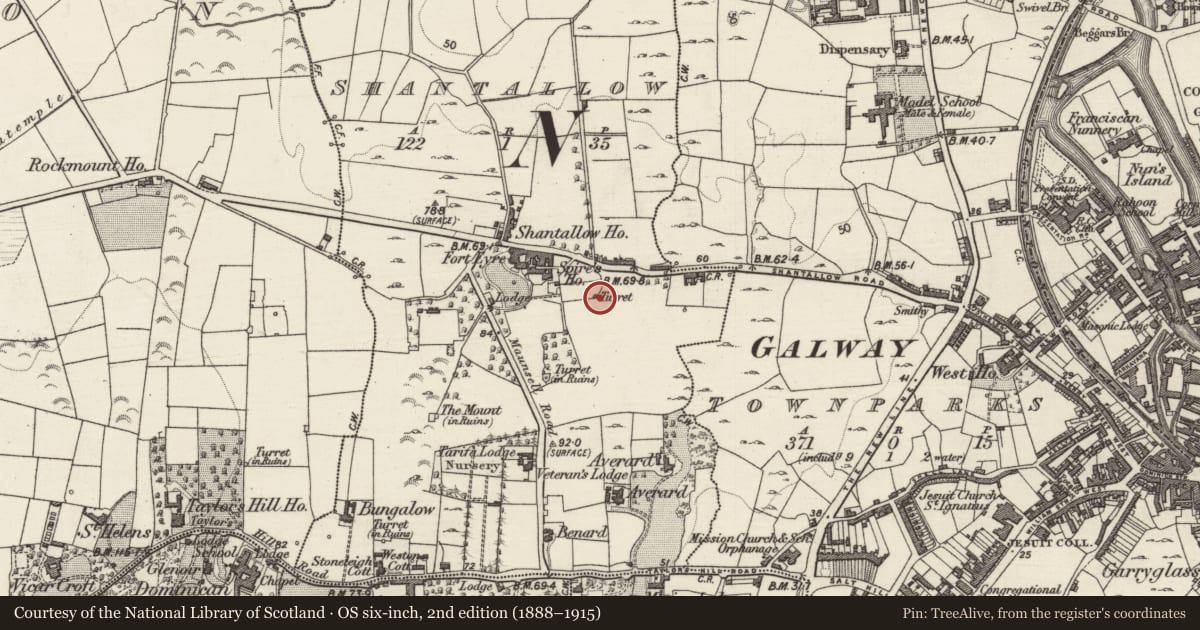 Ordnance Survey six-inch map, 2nd edition (1888–1915) covering the location of Designed landscape - folly, Shantallow, County Galway, with a pin at the register's coordinates