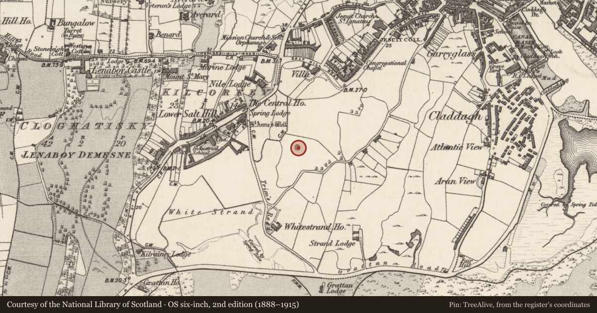 Ordnance Survey six-inch map, 2nd edition (1888–1915) covering the location of Designed landscape feature, Townparks (Galway By., Rahoon Par.), County Galway, with a pin at the register's coordinates