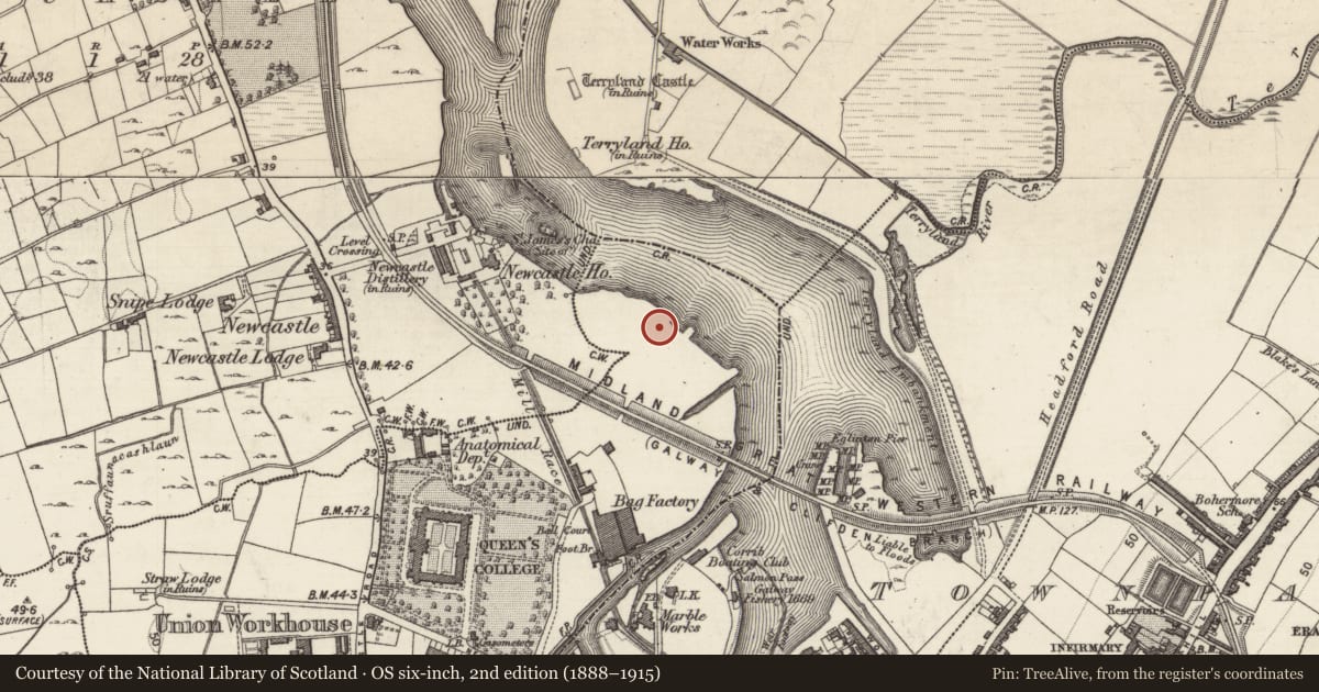 Ordnance Survey six-inch map, 2nd edition (1888–1915) covering the location of Quarry, Townparks (Galway By., Rahoon Par.), County Galway, with a pin at the register's coordinates