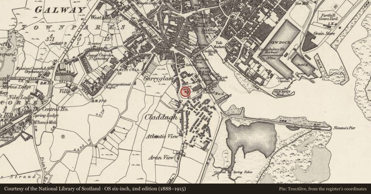 Ordnance Survey six-inch map, 2nd edition (1888–1915) covering the location of Graveyard, Townparks (Galway By., Rahoon Par.), County Galway, with a pin at the register's coordinates