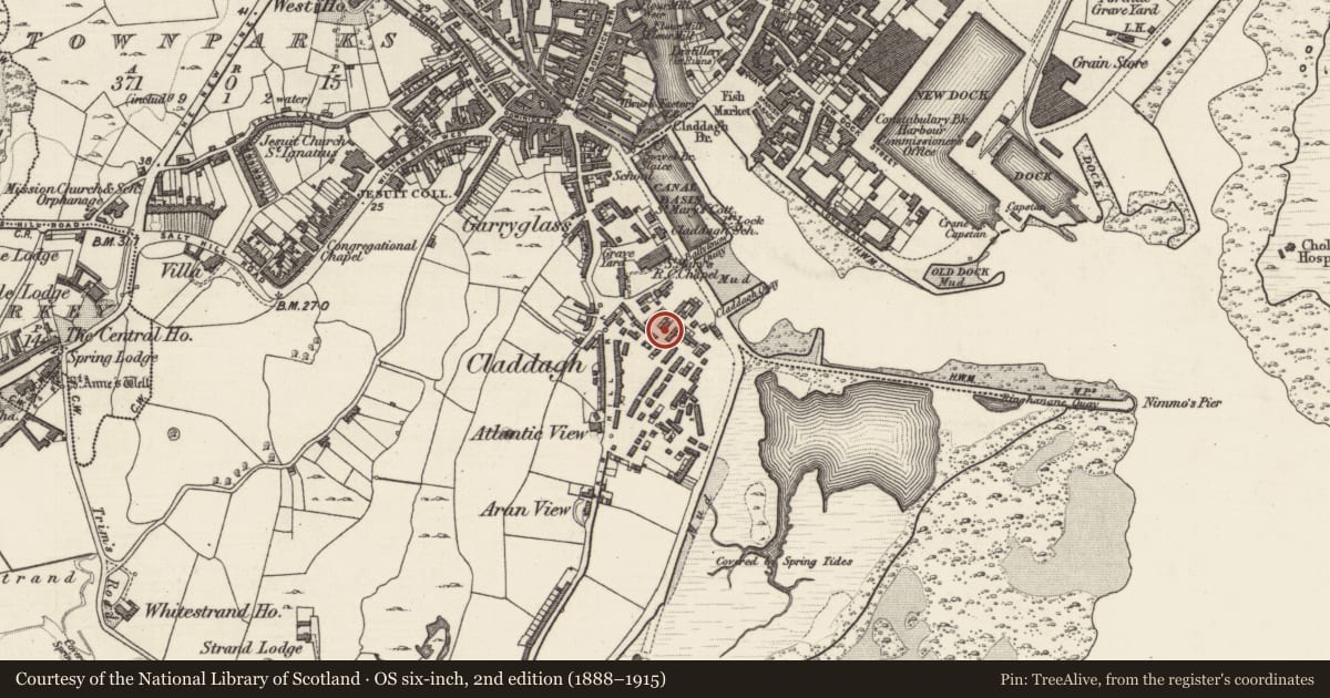 Ordnance Survey six-inch map, 2nd edition (1888–1915) covering the location of Settlement cluster, Townparks (Galway By., Rahoon Par.), County Galway, with a pin at the register's coordinates