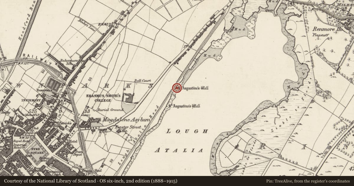 Ordnance Survey six-inch map, 2nd edition (1888–1915) covering the location of Ritual site - holy well, Townparks (Galway By., St. Nicholas Par.), County Galway, with a pin at the register's coordinates