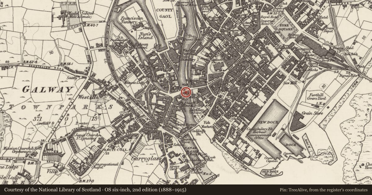 Ordnance Survey six-inch map, 2nd edition (1888–1915) covering the location of Bridge, Townparks (Galway By., Rahoon Par.), County Galway, with a pin at the register's coordinates