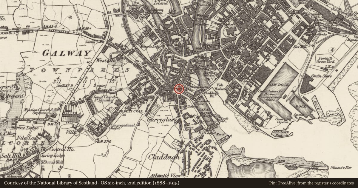 Ordnance Survey six-inch map, 2nd edition (1888–1915) covering the location of Bridge, Townparks (Galway By., Rahoon Par.), County Galway, with a pin at the register's coordinates