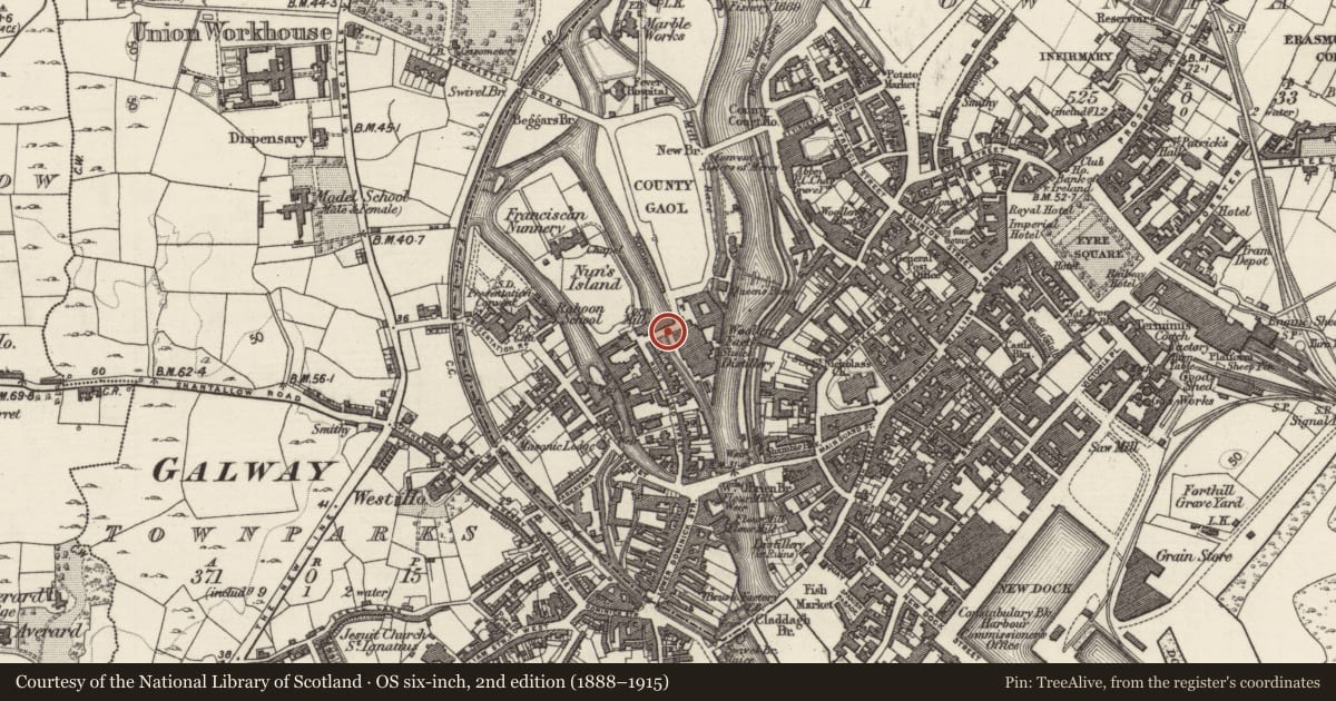 Ordnance Survey six-inch map, 2nd edition (1888–1915) covering the location of Causeway, Townparks (Galway By., St. Nicholas Par.), County Galway, with a pin at the register's coordinates