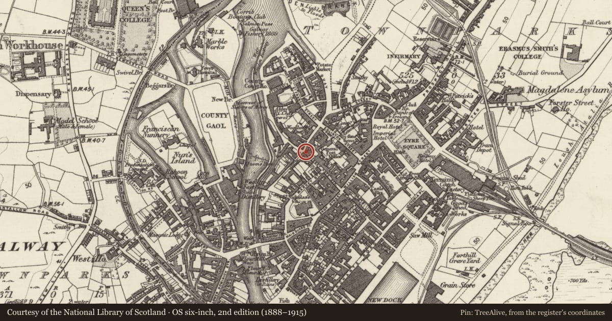 Ordnance Survey six-inch map, 2nd edition (1888–1915) covering the location of Bridge, Townparks (Galway By., St. Nicholas Par.), County Galway, with a pin at the register's coordinates