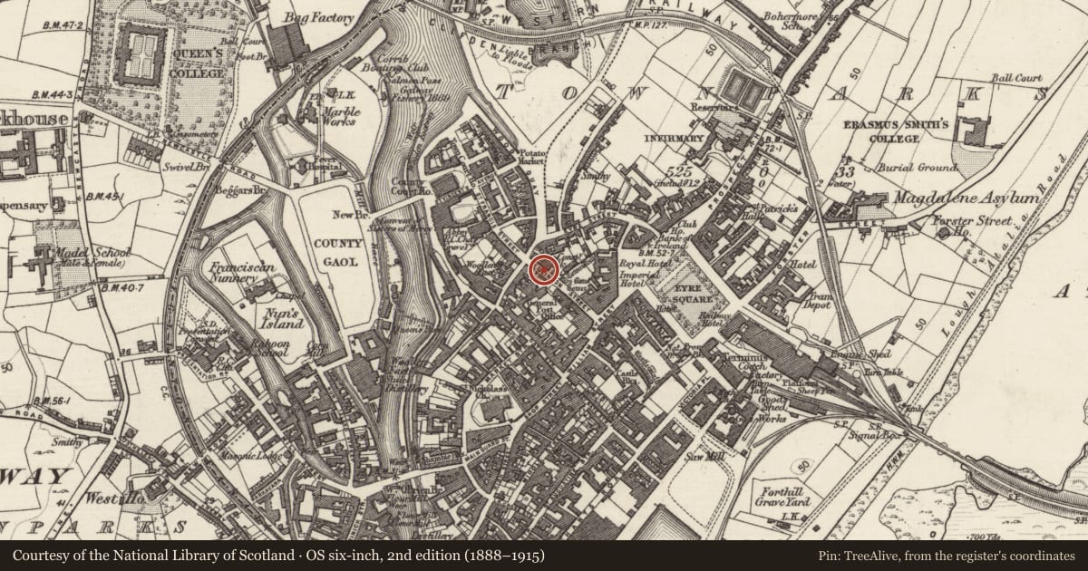 Ordnance Survey six-inch map, 2nd edition (1888–1915) covering the location of Bridge, Townparks (Galway By., St. Nicholas Par.), County Galway, with a pin at the register's coordinates