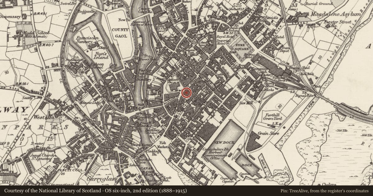 Ordnance Survey six-inch map, 2nd edition (1888–1915) covering the location of Hospital, Townparks (Galway By., St. Nicholas Par.), County Galway, with a pin at the register's coordinates