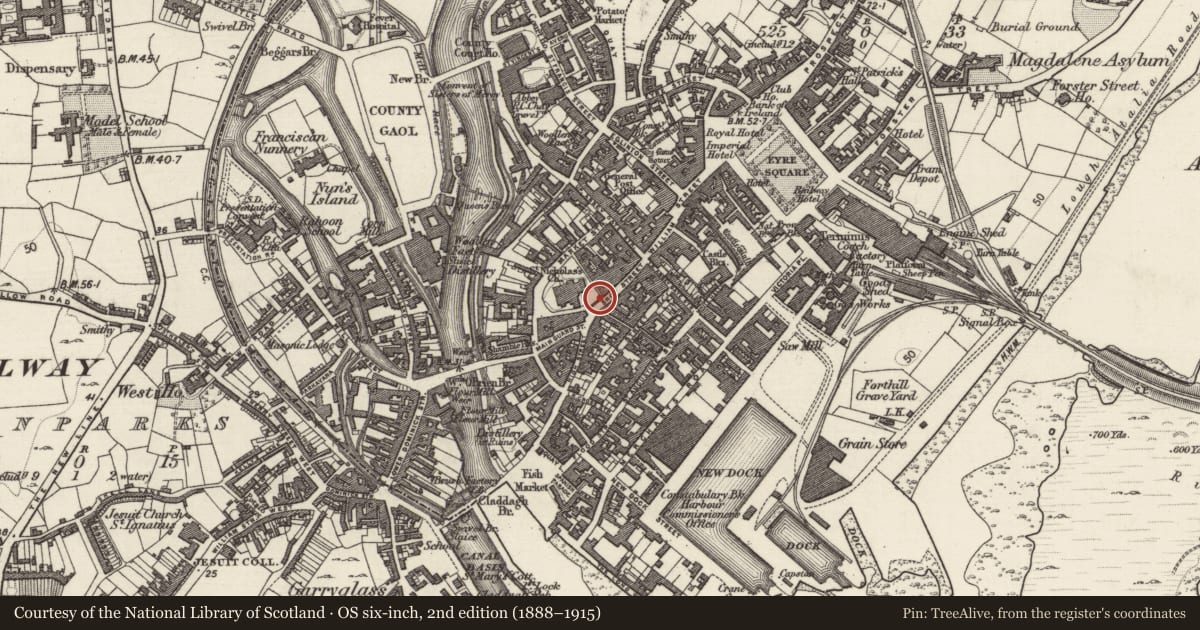 Ordnance Survey six-inch map, 2nd edition (1888–1915) covering the location of Town hall, Townparks (Galway By., St. Nicholas Par.), County Galway, with a pin at the register's coordinates