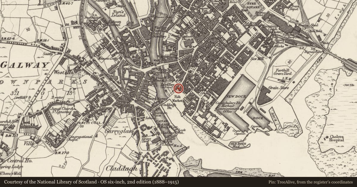 Ordnance Survey six-inch map, 2nd edition (1888–1915) covering the location of Castle - tower house, Townparks (Galway By., St. Nicholas Par.), County Galway, with a pin at the register's coordinates