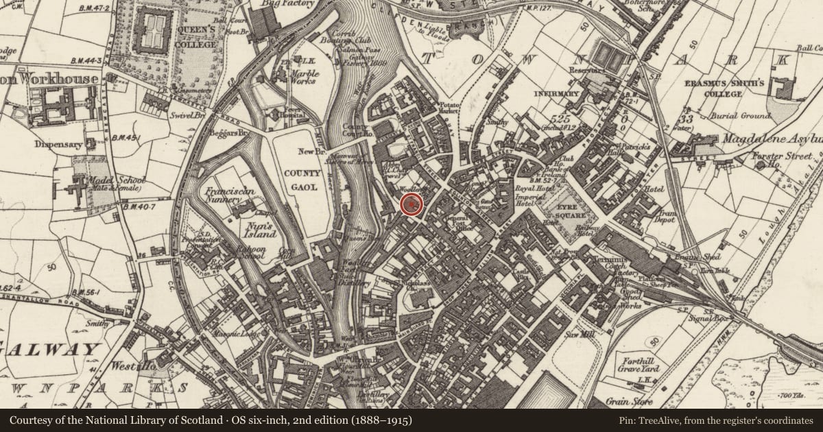 Ordnance Survey six-inch map, 2nd edition (1888–1915) covering the location of Water mill - unclassified, Townparks (Galway By., St. Nicholas Par.), County Galway, with a pin at the register's coordinates