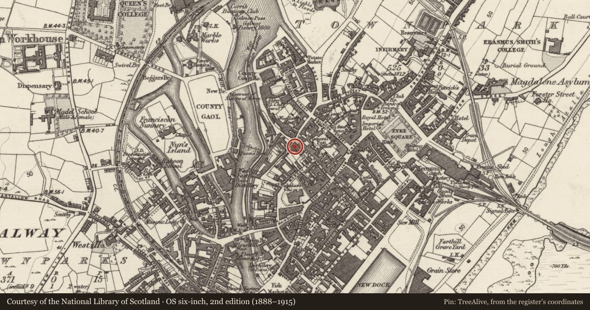 Ordnance Survey six-inch map, 2nd edition (1888–1915) covering the location of Water mill - unclassified, Townparks (Galway By., St. Nicholas Par.), County Galway, with a pin at the register's coordinates
